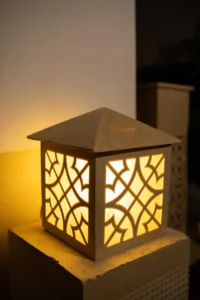 House-shaped planting pots