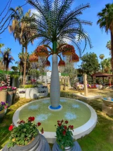 Rock and Butterflies at Fontaines landscape turkan